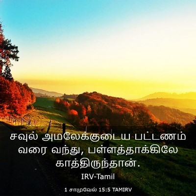 Picture 03 - 1 சாமுவேல் 15:5 TAMIRV - சவுல் அமலேக்குடைய - Bible Verse Picture
