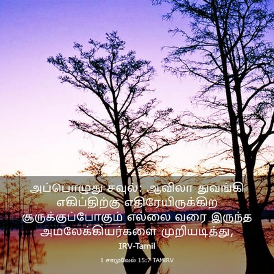 Picture 03 - 1 சாமுவேல் 15:7 TAMIRV - அப்பொழுது சவுல்: - Bible Verse Picture
