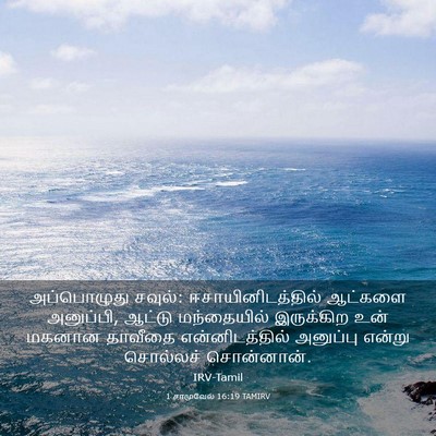 Picture 03 - 1 சாமுவேல் 16:19 TAMIRV - அப்பொழுது சவுல்: - Bible Verse Picture