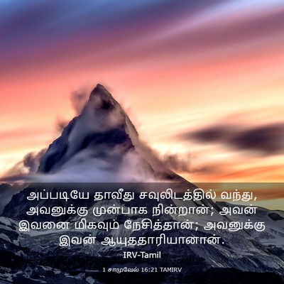 Picture 03 - 1 சாமுவேல் 16:21 TAMIRV - அப்படியே தாவீது - Bible Verse Picture