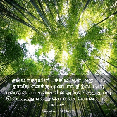 Picture 03 - 1 சாமுவேல் 16:22 TAMIRV - சவுல் - Bible Verse Picture