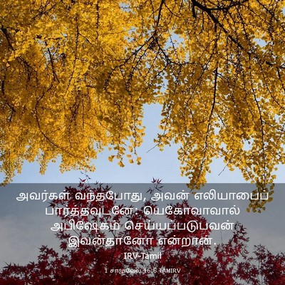 Picture 03 - 1 சாமுவேல் 16:6 TAMIRV - அவர்கள் வந்தபோது, - Bible Verse Picture