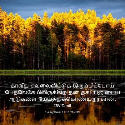 Picture 03 - 1 சாமுவேல் 17:15 TAMIRV - தாவீது - Bible Verse Picture