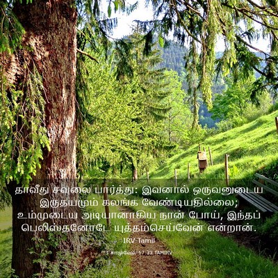 Picture 03 - 1 சாமுவேல் 17:32 TAMIRV - தாவீது சவுலை - Bible Verse Picture