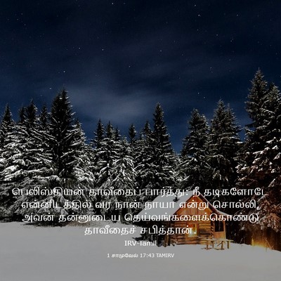 Picture 03 - 1 சாமுவேல் 17:43 TAMIRV - பெலிஸ்தியன் - Bible Verse Picture