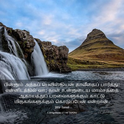 Picture 03 - 1 சாமுவேல் 17:44 TAMIRV - பின்னும் அந்தப் - Bible Verse Picture
