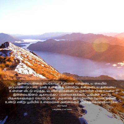 Picture 03 - 1 சாமுவேல் 17:46 TAMIRV - இன்றையதினம் - Bible Verse Picture