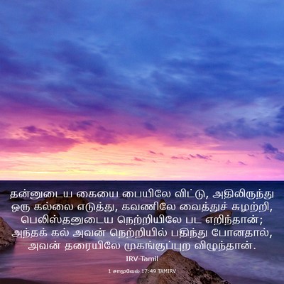 Picture 03 - 1 சாமுவேல் 17:49 TAMIRV - தன்னுடைய கையை - Bible Verse Picture