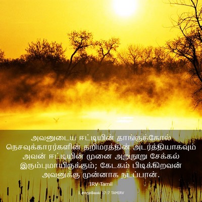 Picture 03 - 1 சாமுவேல் 17:7 TAMIRV - அவனுடைய ஈட்டியின் - Bible Verse Picture