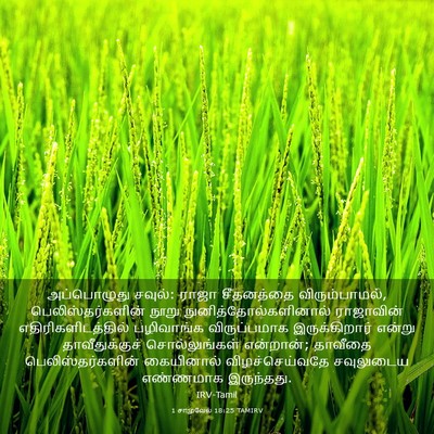 Picture 03 - 1 சாமுவேல் 18:25 TAMIRV - அப்பொழுது சவுல்: - Bible Verse Picture