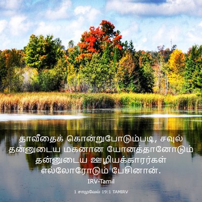 Picture 03 - 1 சாமுவேல் 19:1 TAMIRV - தாவீதைக் - Bible Verse Picture