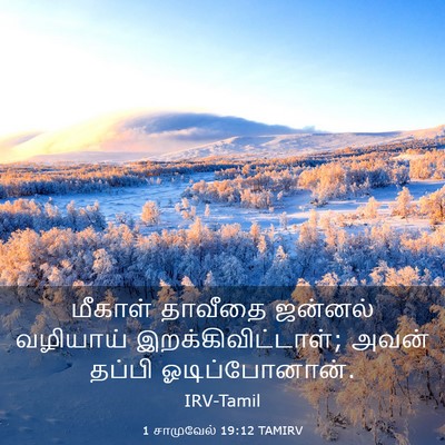 Picture 03 - 1 சாமுவேல் 19:12 TAMIRV - மீகாள் தாவீதை - Bible Verse Picture