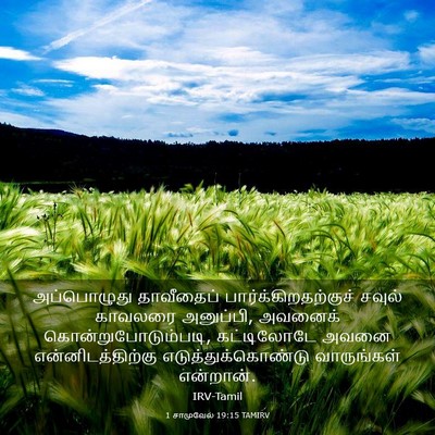 Picture 03 - 1 சாமுவேல் 19:15 TAMIRV - அப்பொழுது - Bible Verse Picture