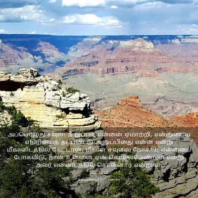 Picture 03 - 1 சாமுவேல் 19:17 TAMIRV - அப்பொழுது சவுல்: - Bible Verse Picture