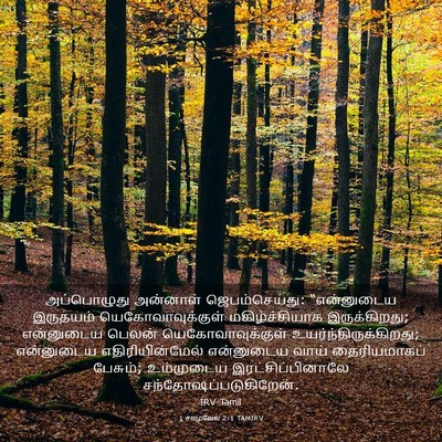 Picture 03 - 1 சாமுவேல் 2:1 TAMIRV - அப்பொழுது அன்னாள் - Bible Verse Picture