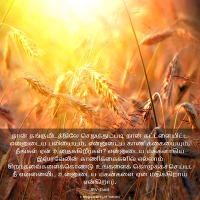 Picture 03 - 1 சாமுவேல் 2:29 TAMIRV - நான் - Bible Verse Picture