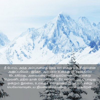 Picture 03 - 1 சாமுவேல் 20:21 TAMIRV - நீ போய், அந்த - Bible Verse Picture
