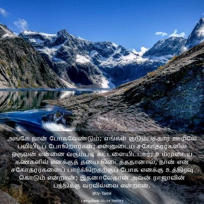 Picture 03 - 1 சாமுவேல் 20:29 TAMIRV - அங்கே நான் - Bible Verse Picture