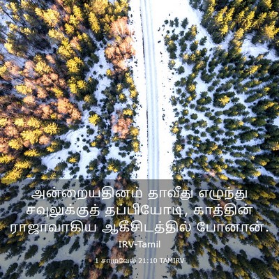 Picture 03 - 1 சாமுவேல் 21:10 TAMIRV - அன்றையதினம் - Bible Verse Picture