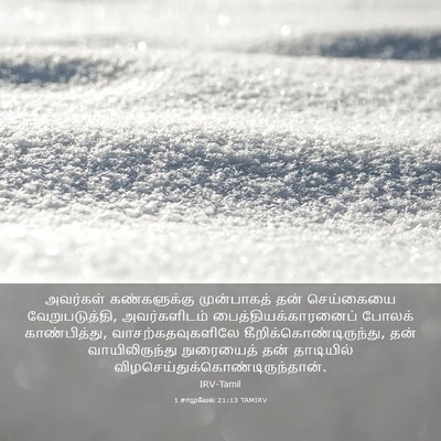 Picture 03 - 1 சாமுவேல் 21:13 TAMIRV - அவர்கள் - Bible Verse Picture
