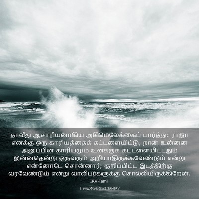 Picture 03 - 1 சாமுவேல் 21:2 TAMIRV - தாவீது - Bible Verse Picture
