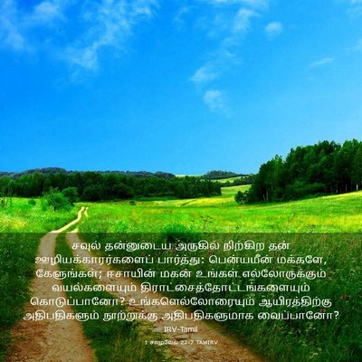 Picture 03 - 1 சாமுவேல் 22:7 TAMIRV - சவுல் தன்னுடைய - Bible Verse Picture