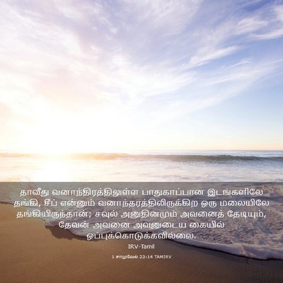 Picture 03 - 1 சாமுவேல் 23:14 TAMIRV - தாவீது - Bible Verse Picture