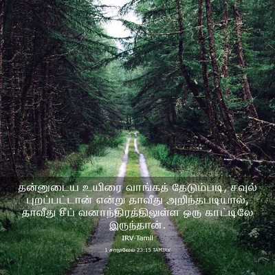 Picture 03 - 1 சாமுவேல் 23:15 TAMIRV - தன்னுடைய உயிரை - Bible Verse Picture