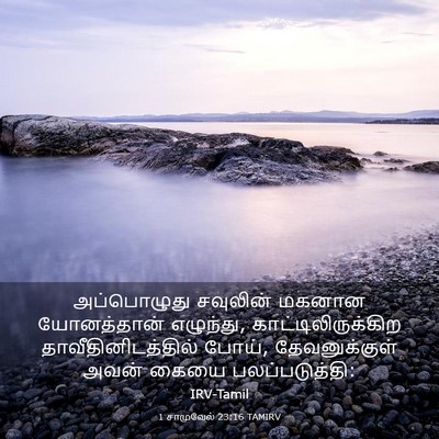 Picture 03 - 1 சாமுவேல் 23:16 TAMIRV - அப்பொழுது சவுலின் - Bible Verse Picture