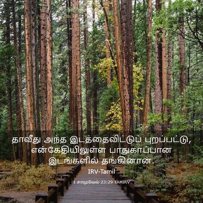 Picture 03 - 1 சாமுவேல் 23:29 TAMIRV - தாவீது அந்த - Bible Verse Picture
