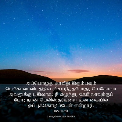 Picture 03 - 1 சாமுவேல் 23:4 TAMIRV - அப்பொழுது தாவீது - Bible Verse Picture