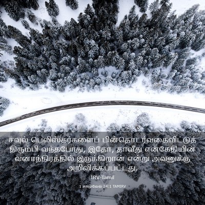 Picture 03 - 1 சாமுவேல் 24:1 TAMIRV - சவுல் - Bible Verse Picture