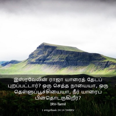 Picture 03 - 1 சாமுவேல் 24:14 TAMIRV - இஸ்ரவேலின் ராஜா - Bible Verse Picture
