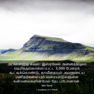 Picture 03 - 1 சாமுவேல் 24:2 TAMIRV - அப்பொழுது சவுல்: - Bible Verse Picture