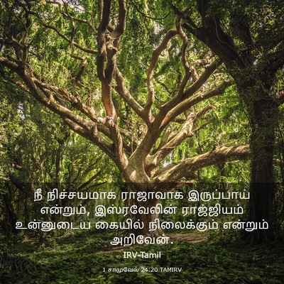 Picture 03 - 1 சாமுவேல் 24:20 TAMIRV - நீ நிச்சயமாக - Bible Verse Picture