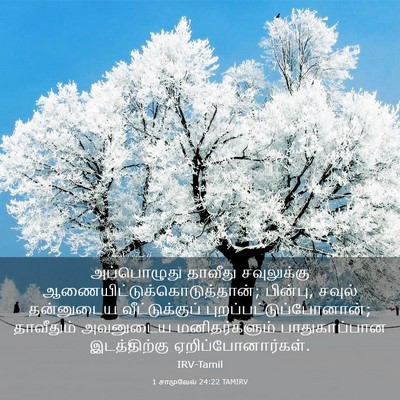 Picture 03 - 1 சாமுவேல் 24:22 TAMIRV - அப்பொழுது தாவீது - Bible Verse Picture