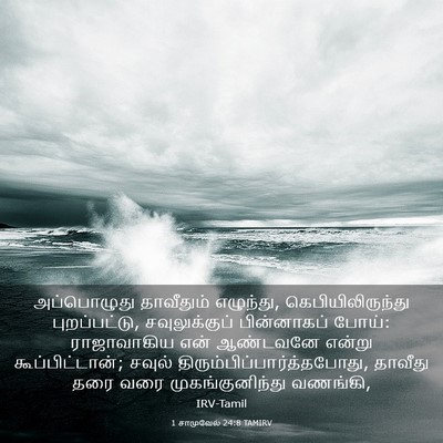 Picture 03 - 1 சாமுவேல் 24:8 TAMIRV - அப்பொழுது - Bible Verse Picture