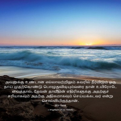 Picture 03 - 1 சாமுவேல் 25:22 TAMIRV - அவனுக்கு உண்டான - Bible Verse Picture