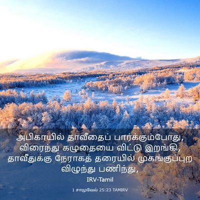 Picture 03 - 1 சாமுவேல் 25:23 TAMIRV - அபிகாயில் - Bible Verse Picture