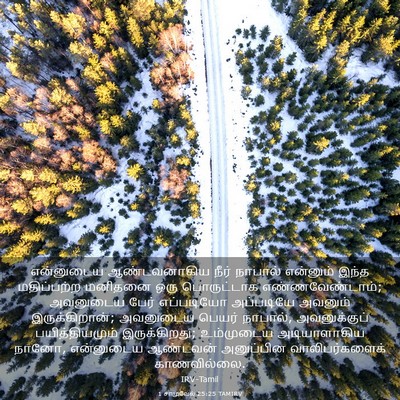 Picture 03 - 1 சாமுவேல் 25:25 TAMIRV - என்னுடைய - Bible Verse Picture