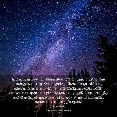 Picture 03 - 1 சாமுவேல் 25:28 TAMIRV - உமது அடியாளின் - Bible Verse Picture
