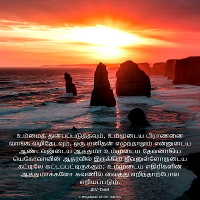 Picture 03 - 1 சாமுவேல் 25:29 TAMIRV - உம்மைத் - Bible Verse Picture