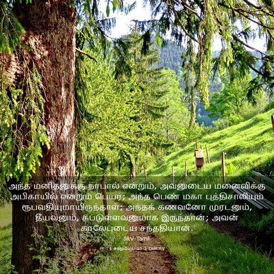 Picture 03 - 1 சாமுவேல் 25:3 TAMIRV - அந்த மனிதனுக்கு - Bible Verse Picture