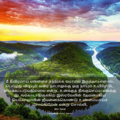 Picture 03 - 1 சாமுவேல் 25:34 TAMIRV - நீ தீவிரமாய் - Bible Verse Picture