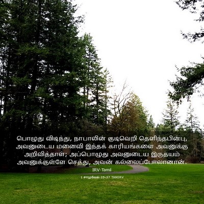 Picture 03 - 1 சாமுவேல் 25:37 TAMIRV - பொழுது விடிந்து, - Bible Verse Picture