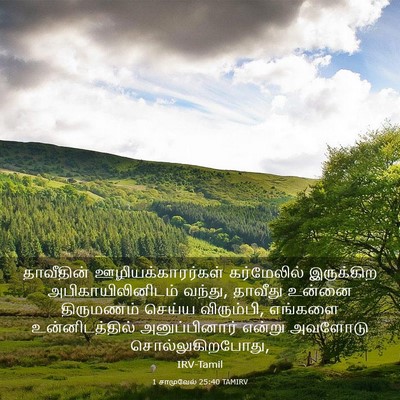 Picture 03 - 1 சாமுவேல் 25:40 TAMIRV - தாவீதின் - Bible Verse Picture