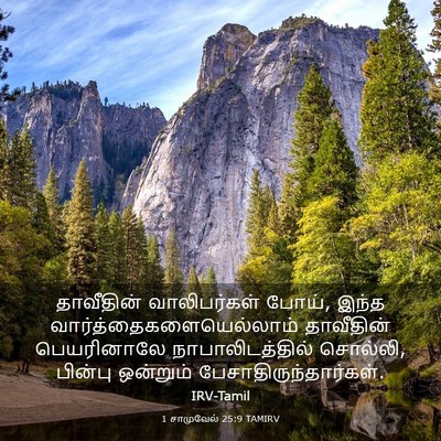 Picture 03 - 1 சாமுவேல் 25:9 TAMIRV - தாவீதின் - Bible Verse Picture