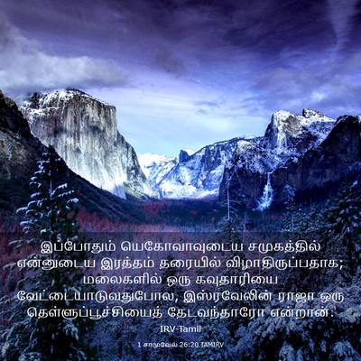 Picture 03 - 1 சாமுவேல் 26:20 TAMIRV - இப்போதும் - Bible Verse Picture