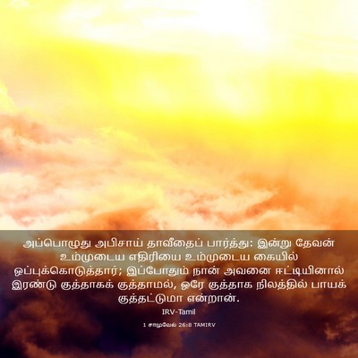 Picture 03 - 1 சாமுவேல் 26:8 TAMIRV - அப்பொழுது அபிசாய் - Bible Verse Picture