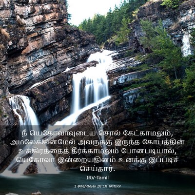 Picture 03 - 1 சாமுவேல் 28:18 TAMIRV - நீ யெகோவாவுடைய - Bible Verse Picture